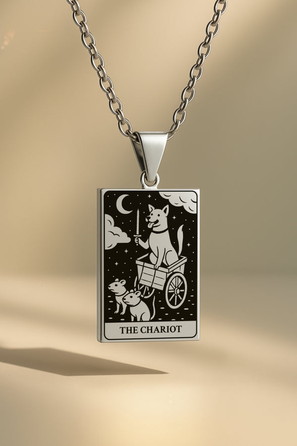 Köpek Tarot | 316L Çelik Kolye - silver / the-chariot