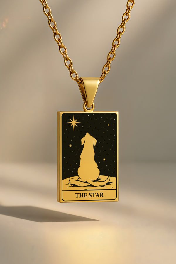 Köpek Tarot | 316L Çelik Kolye - gold / the-star