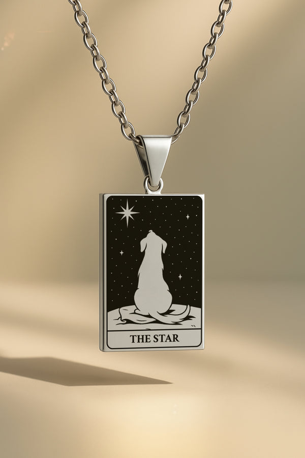 Köpek Tarot | 316L Çelik Kolye - silver / the-star