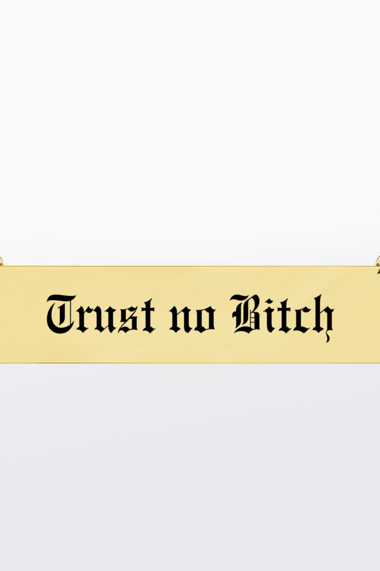 Trust no bitch | 316L Çelik Kolye